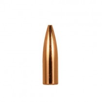 Berger 20 CAL .204 35Grn HPFB Bullet VARMINT 1000 Pack BG20703